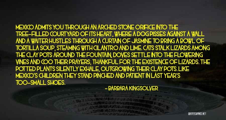 Unattended Installation Quotes By Barbara Kingsolver Unattended Installation Quotes By Barbara Kingsolver