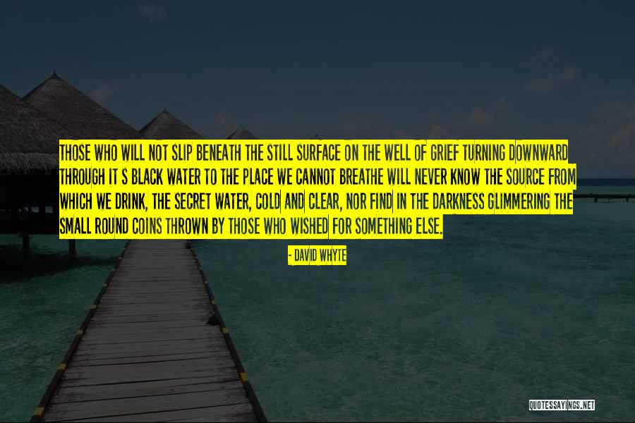 Unawakened Star Quotes By David Whyte Unawakened Star Quotes By David Whyte
