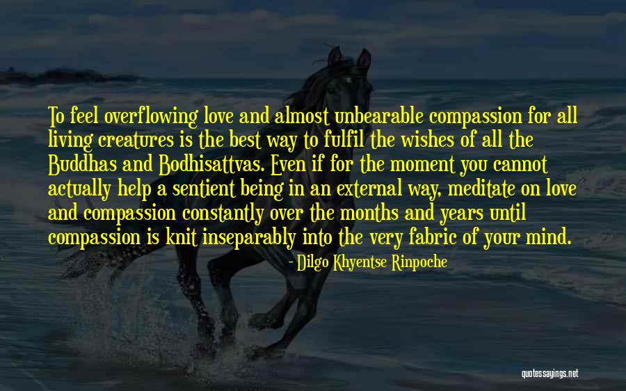Unbearable Love Quotes By Dilgo Khyentse Rinpoche Unbearable Love Quotes By Dilgo Khyentse Rinpoche