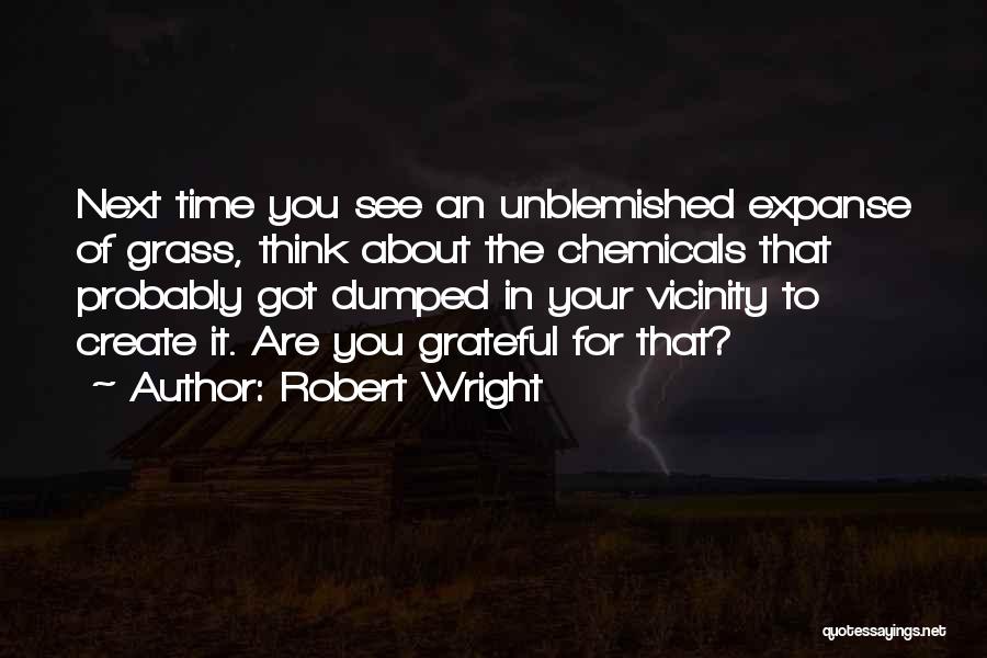 Unblemished Quotes By Robert Wright