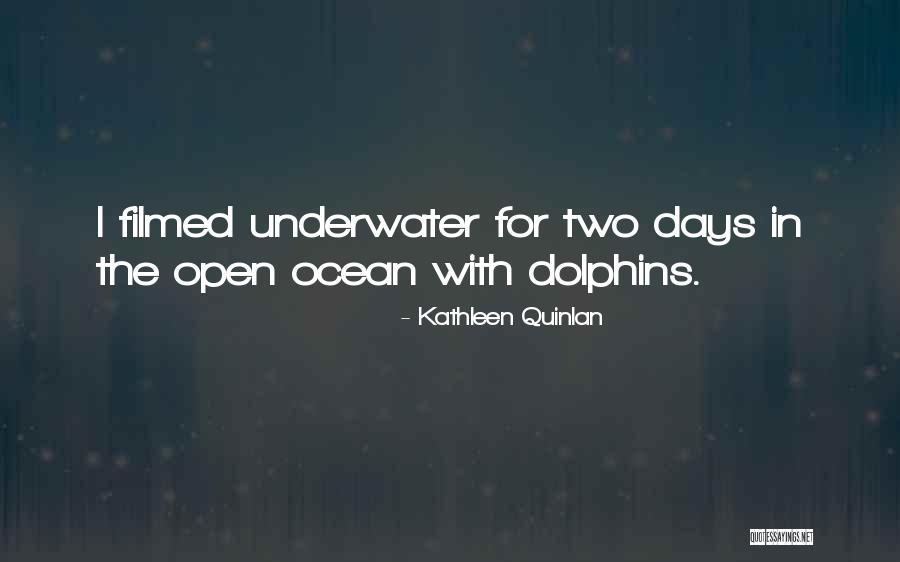 Uncategorized Synonym Quotes By Kathleen Quinlan