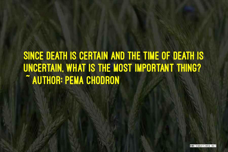 Uncertain Death Quotes By Pema Chodron