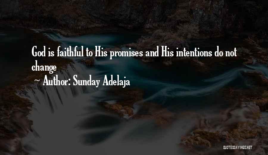 Unchangeable Things Quotes By Sunday Adelaja