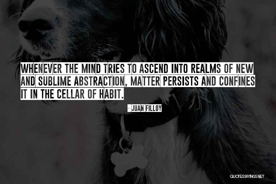Uncharacteristically Quotes By Juan Filloy Uncharacteristically Quotes By Juan Filloy
