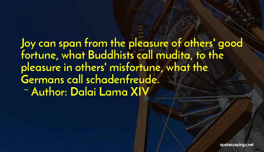 Unchastened Quotes By Dalai Lama XIV