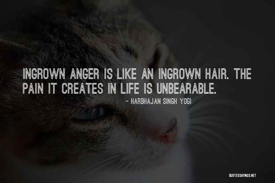 Uncle Ramiz Quotes By Harbhajan Singh Yogi Uncle Ramiz Quotes By Harbhajan Singh Yogi
