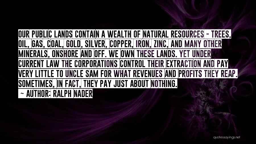 Uncle Sam Quotes By Ralph Nader