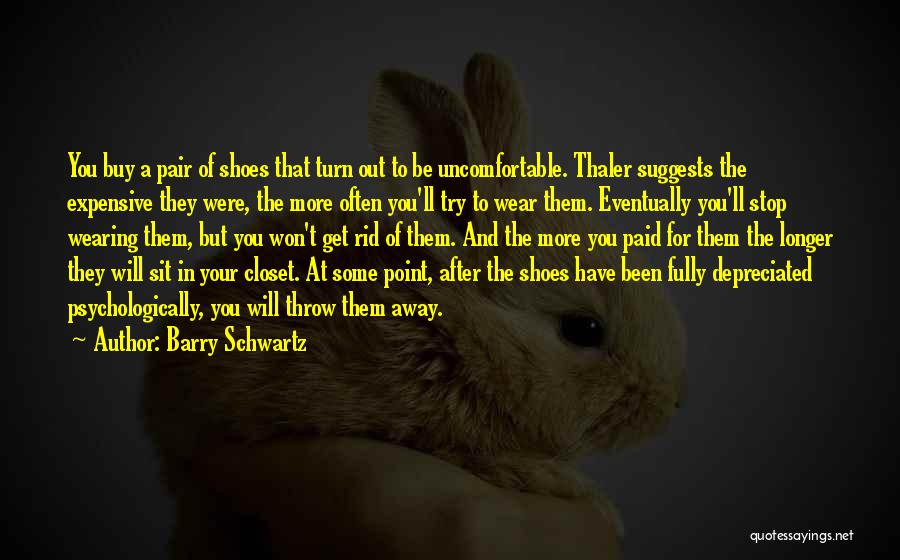 Uncomfortable Shoes Quotes By Barry Schwartz