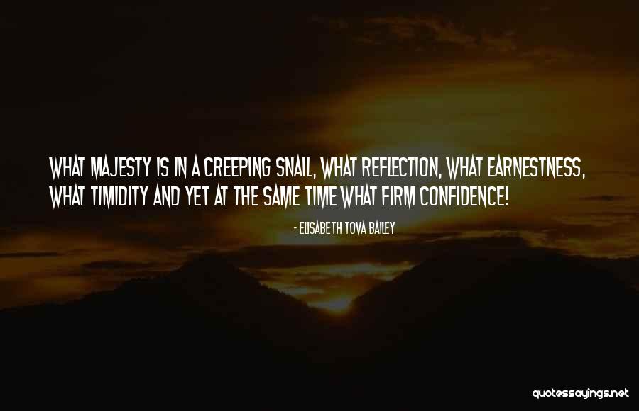 Uncompleted Quotes By Elisabeth Tova Bailey Uncompleted Quotes By Elisabeth Tova Bailey