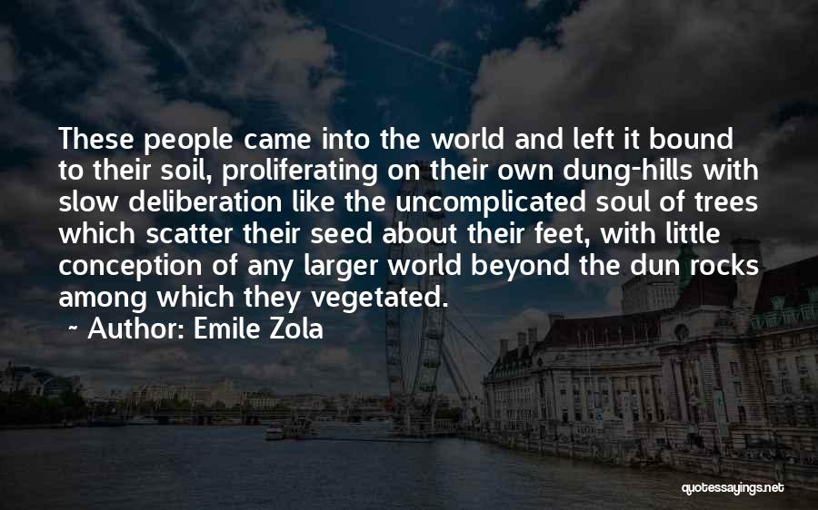 Uncomplicated Quotes By Emile Zola