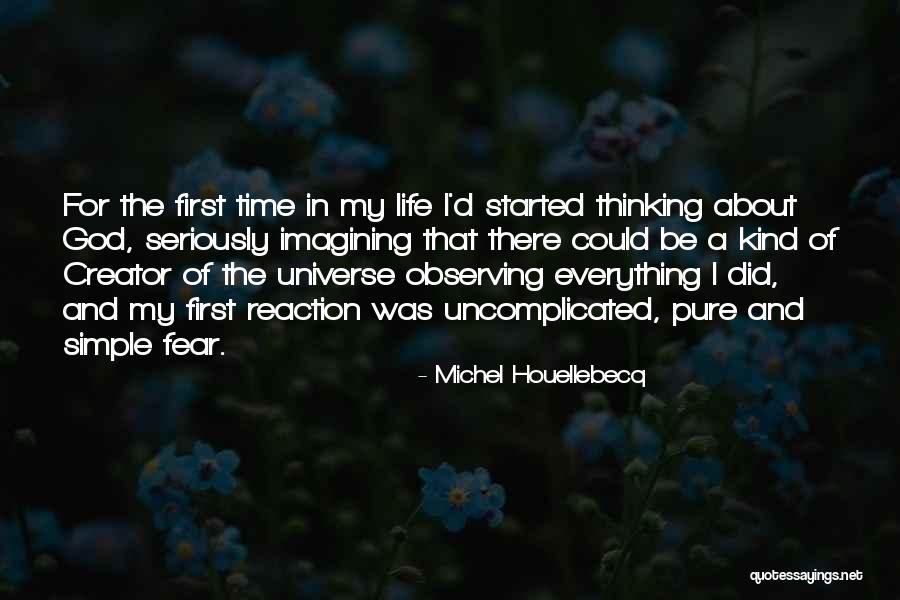 Uncomplicated Quotes By Michel Houellebecq