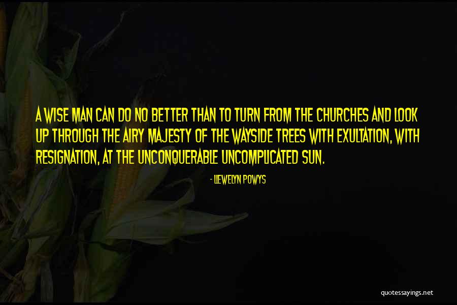 Unconquerable Will Quotes By Llewelyn Powys Unconquerable Will Quotes By Llewelyn Powys