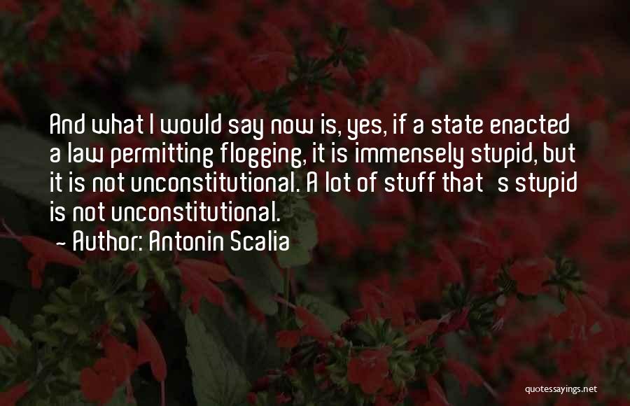 Unconstitutional Quotes By Antonin Scalia