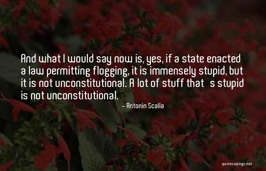 Unconstitutional Quotes By Antonin Scalia