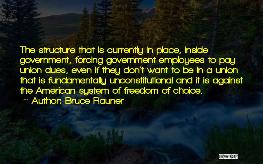 Unconstitutional Quotes By Bruce Rauner