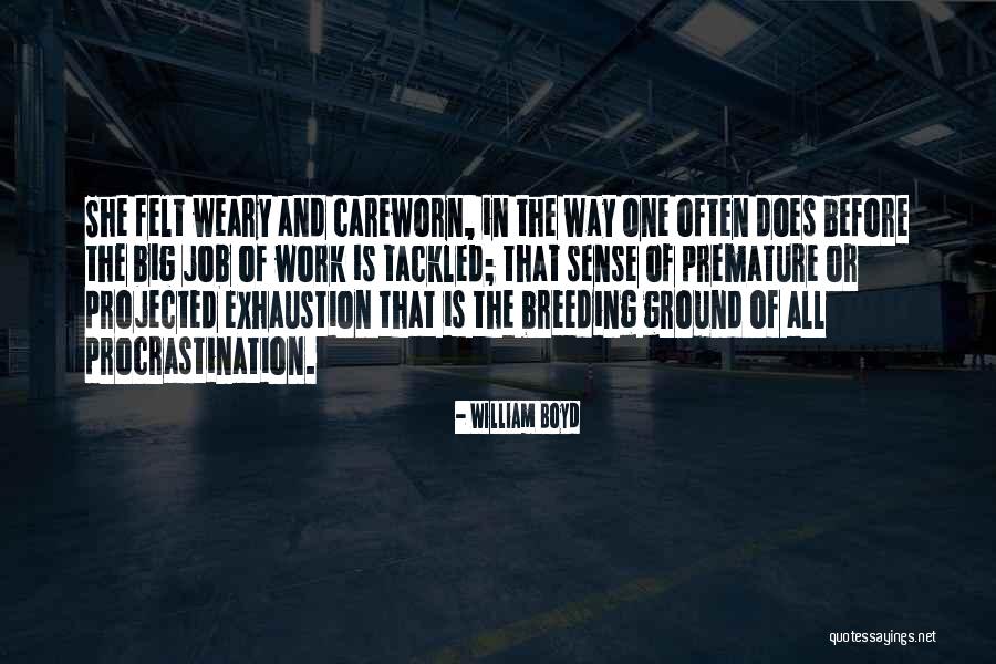 Undaunted Life Quotes By William Boyd Undaunted Life Quotes By William Boyd