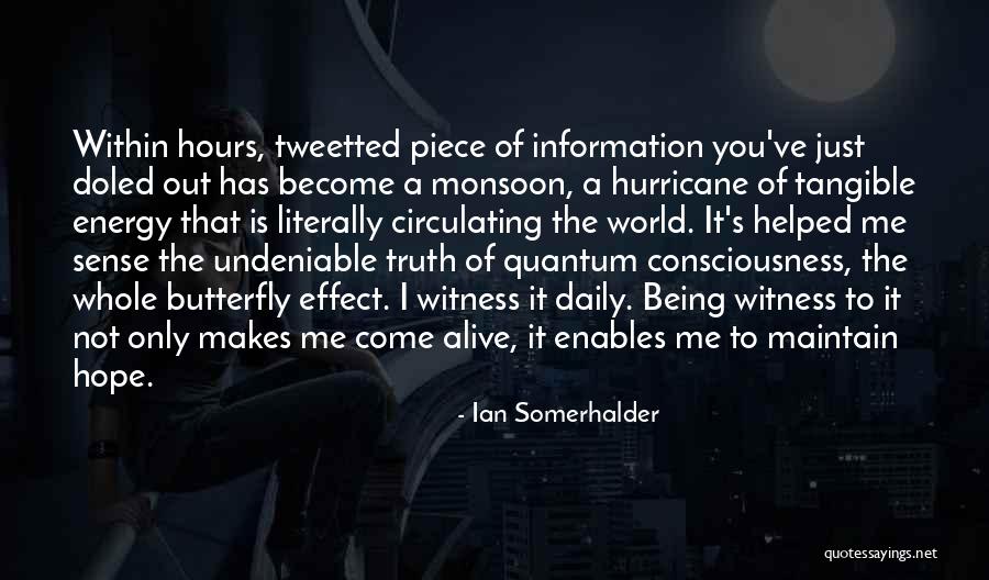 Undeniable Quotes By Ian Somerhalder