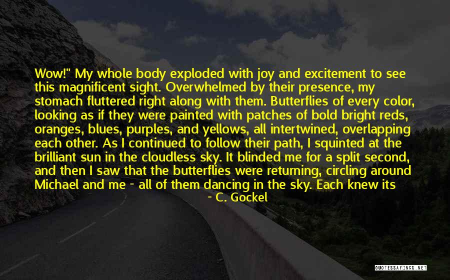 Under A Cloudless Sky Quotes By C. Gockel Under A Cloudless Sky Quotes By C. Gockel
