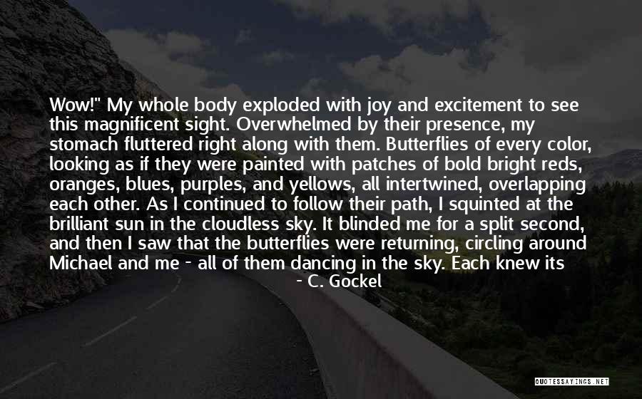 Under A Painted Sky Quotes By C. Gockel Under A Painted Sky Quotes By C. Gockel