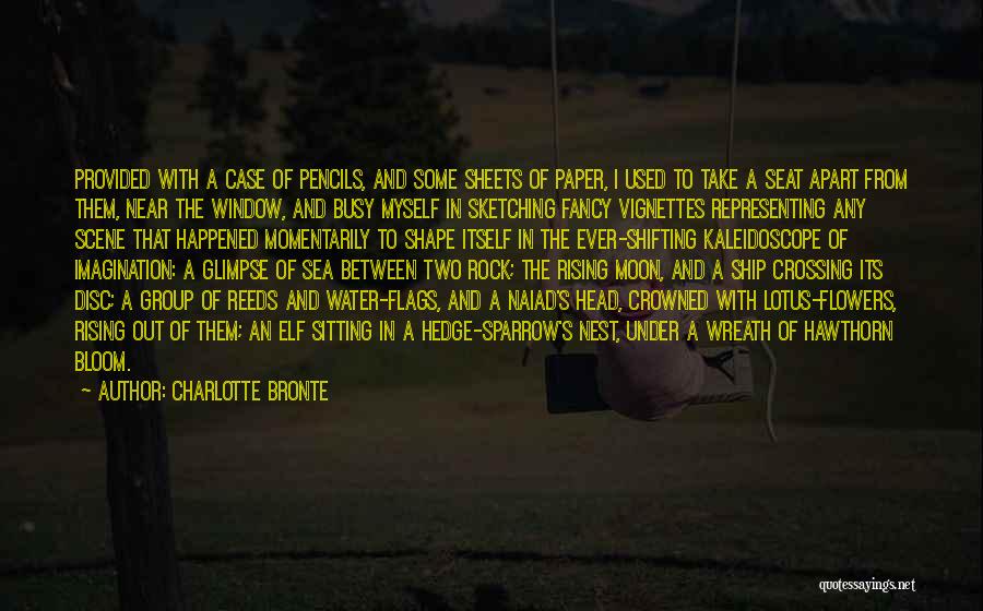 Under A Rock Quotes By Charlotte Bronte