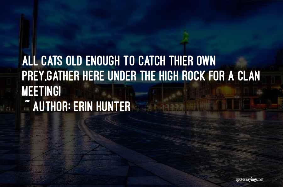 Under A Rock Quotes By Erin Hunter