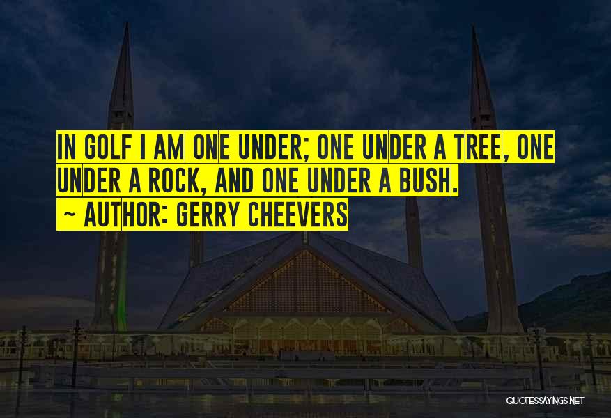 Under A Rock Quotes By Gerry Cheevers