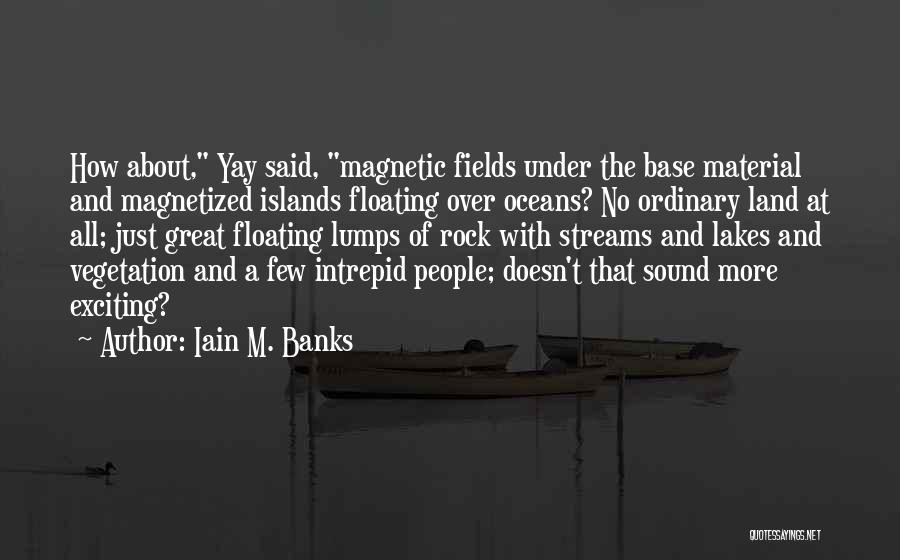 Under A Rock Quotes By Iain M. Banks