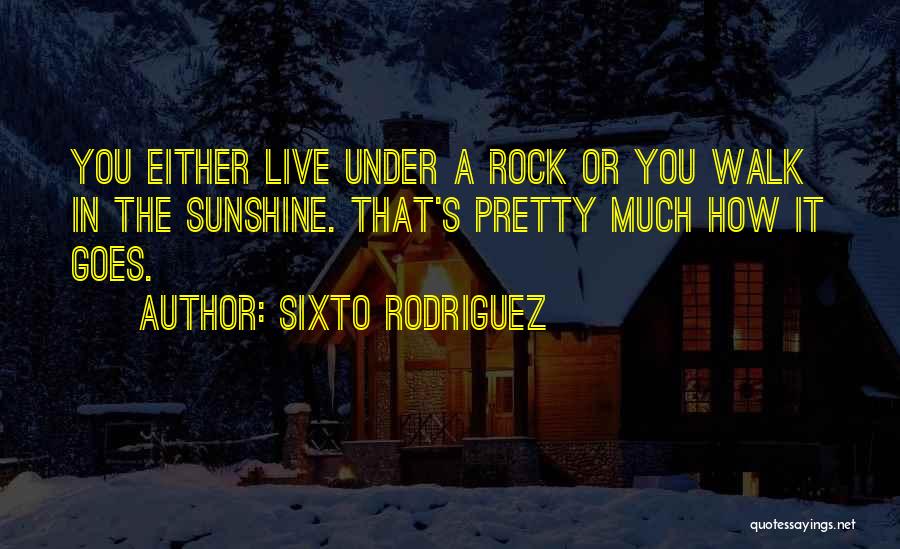 Under A Rock Quotes By Sixto Rodriguez