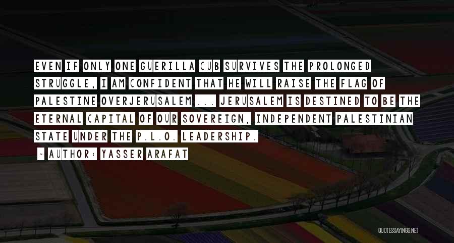 Under Confident Quotes By Yasser Arafat