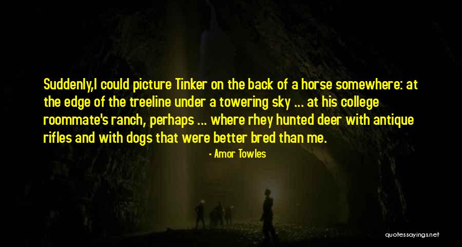 Under Dogs Quotes By Amor Towles Under Dogs Quotes By Amor Towles