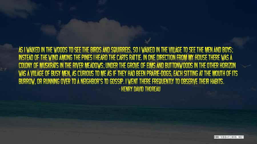 Under Dogs Quotes By Henry David Thoreau Under Dogs Quotes By Henry David Thoreau