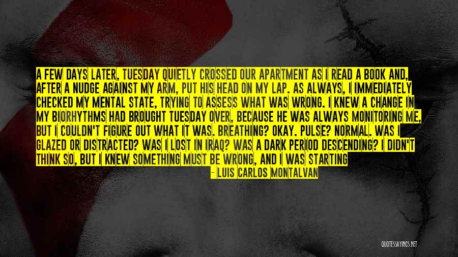 Under Dogs Quotes By Luis Carlos Montalvan Under Dogs Quotes By Luis Carlos Montalvan
