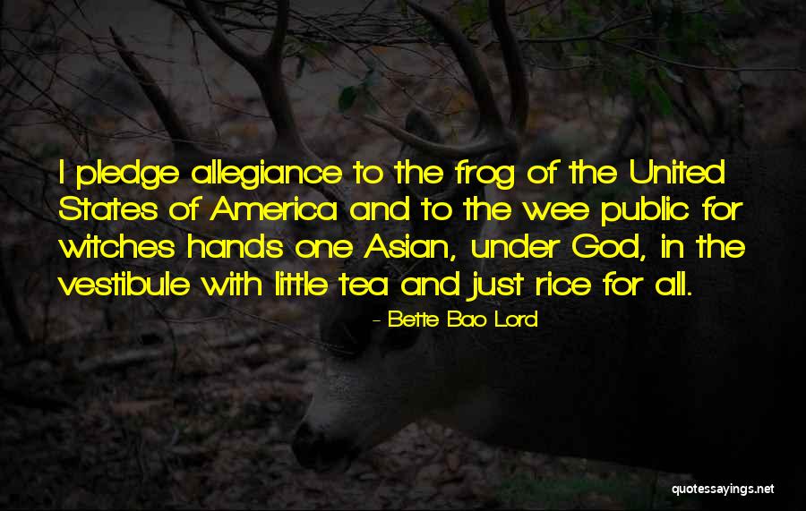 Under God In The Pledge Of Allegiance Quotes By Bette Bao Lord