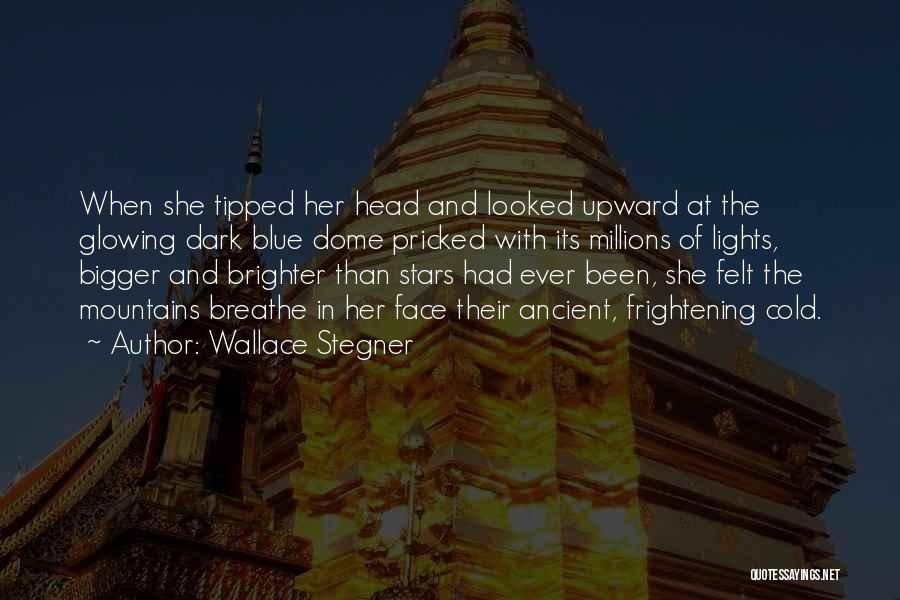 Under The Dome Quotes By Wallace Stegner