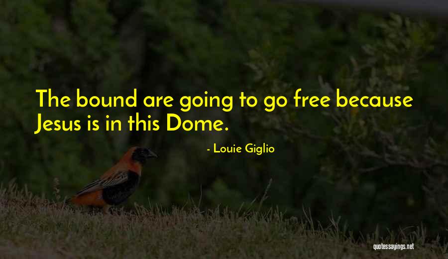 Under The Domes Quotes By Louie Giglio