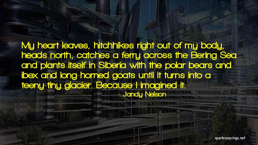 Under The Glacier Quotes By Jandy Nelson Under The Glacier Quotes By Jandy Nelson