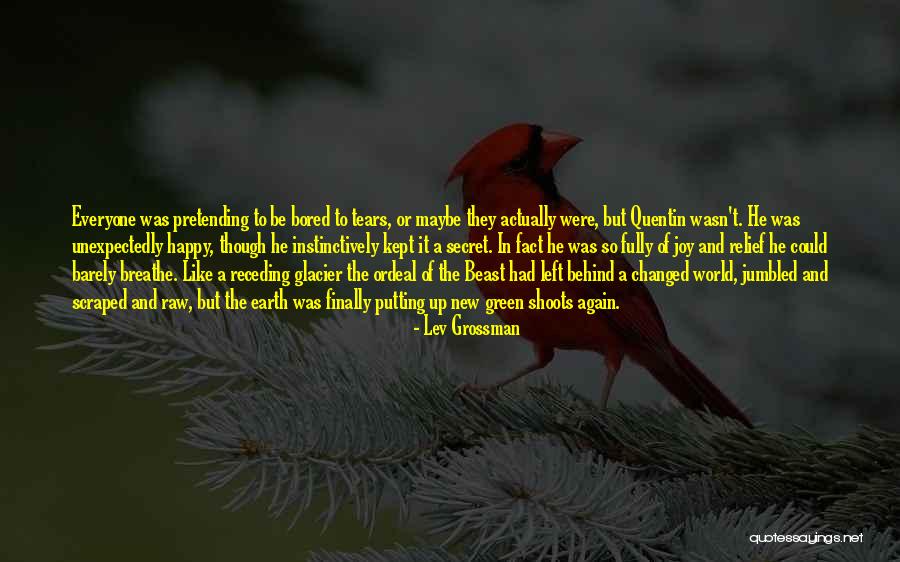 Under The Glacier Quotes By Lev Grossman Under The Glacier Quotes By Lev Grossman