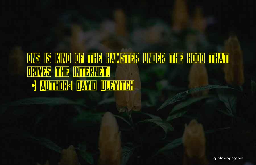 Under The Hood Quotes By David Ulevitch
