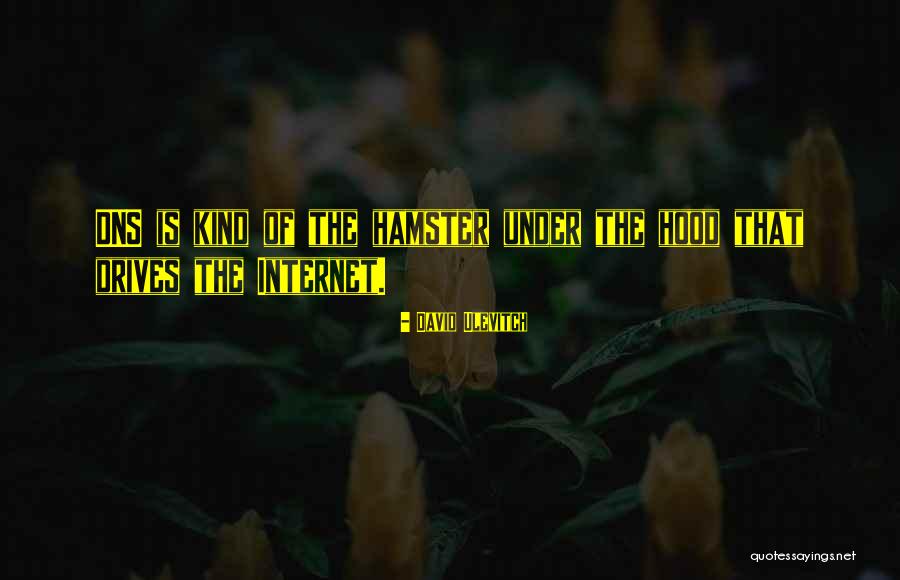 Under The Hood Quotes By David Ulevitch