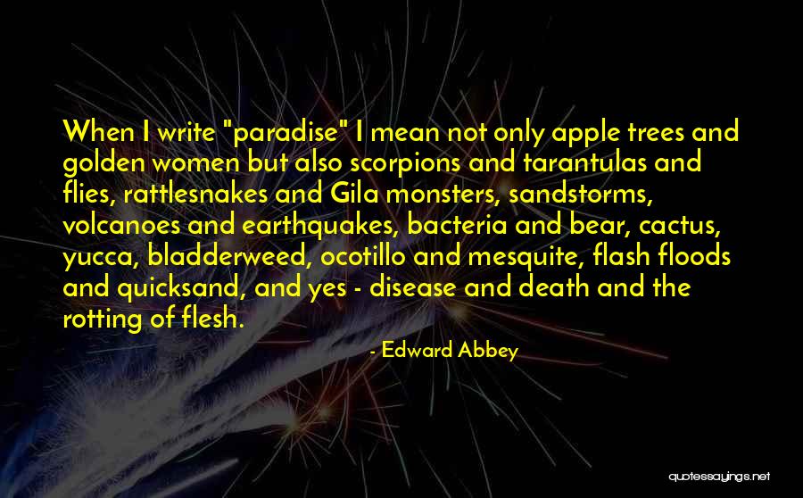 Under The Mesquite Quotes By Edward Abbey