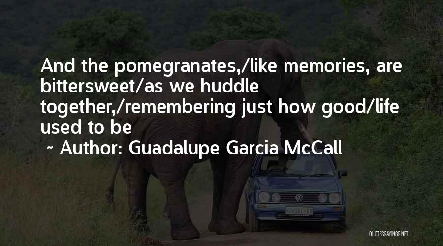 Under The Mesquite Quotes By Guadalupe Garcia McCall
