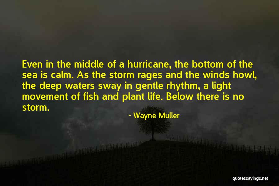 Under The Sea Wind Quotes By Wayne Muller