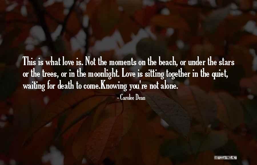 Under The Stars Love Quotes By Carolee Dean