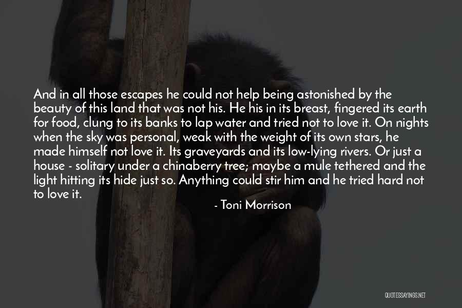 Under The Stars Love Quotes By Toni Morrison Under The Stars Love Quotes By Toni Morrison