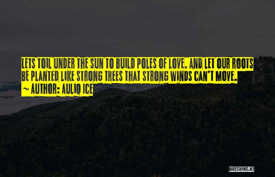Under The Sun Quotes By Auliq Ice