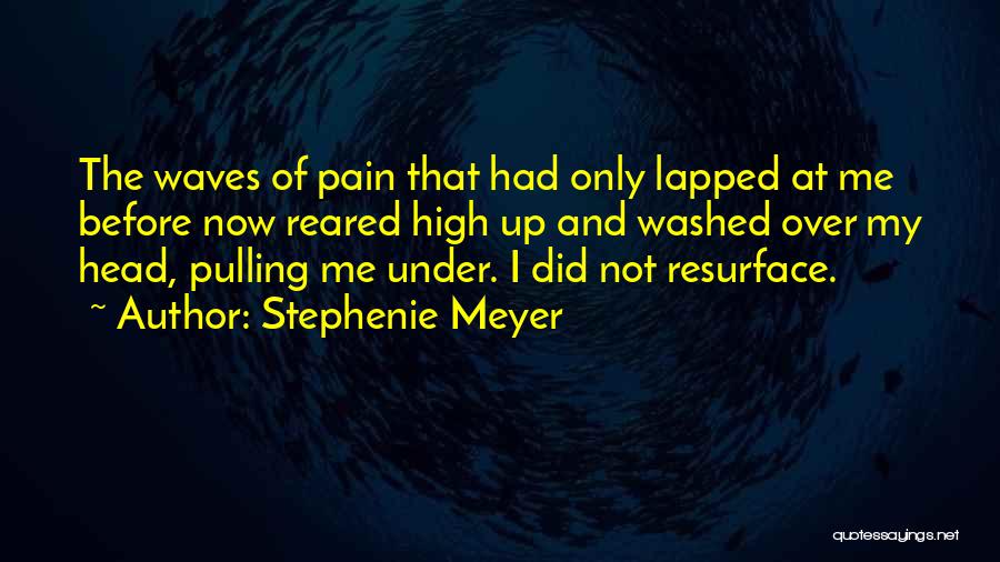 Under The Waves Quotes By Stephenie Meyer