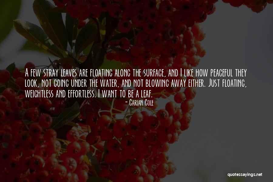 Under Water Quotes By Carian Cole Under Water Quotes By Carian Cole