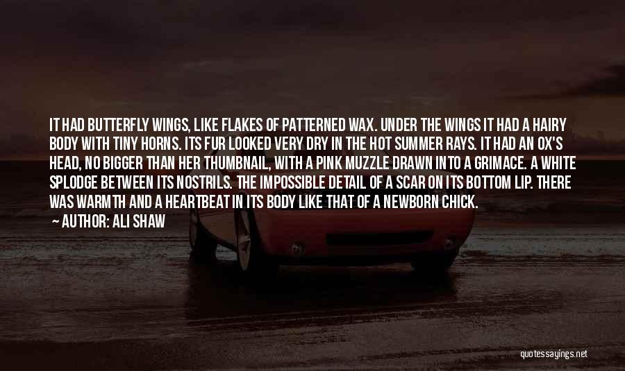 Under Wings Quotes By Ali Shaw