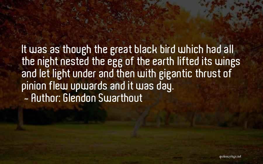 Under Wings Quotes By Glendon Swarthout