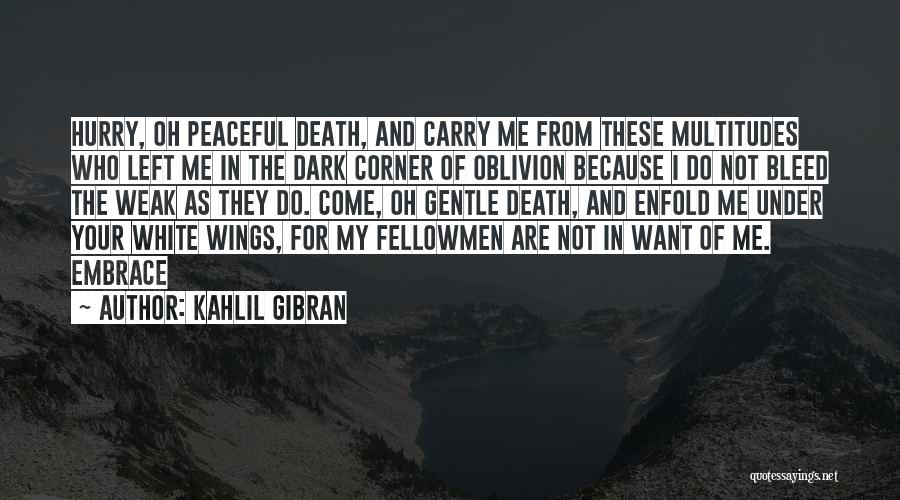 Under Wings Quotes By Kahlil Gibran